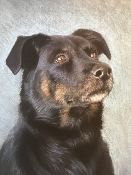 A9183D76-109C-4B0A-99D3-2BC51A95503B